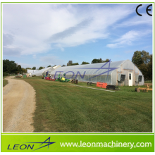 Leon high tunel plastic arch greenhouse for tomato